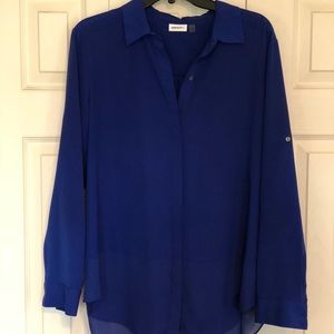 Blue button down blouse